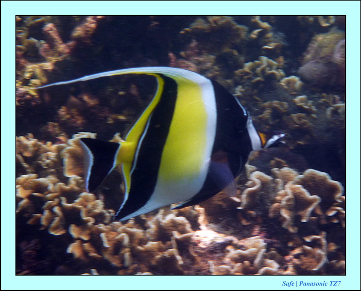 2011 - 03 - Koh Kradan 040